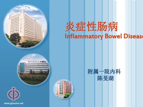 炎症性肠病PPT课件.ppt