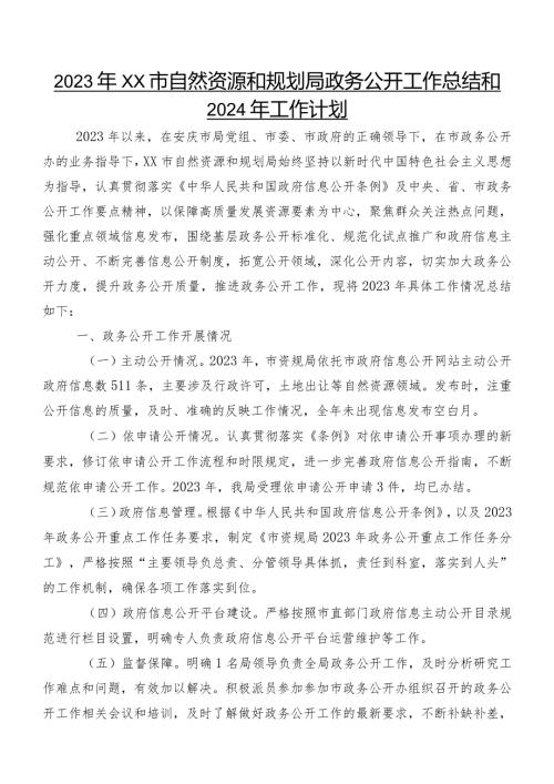 2023年XX市自然资源和规划局政务公开工作总结和2024年工作计划.docx