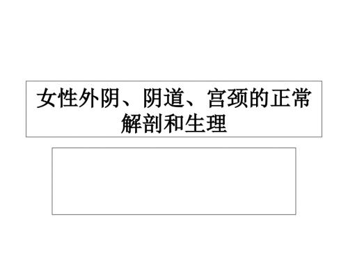 女性解剖生理1.ppt