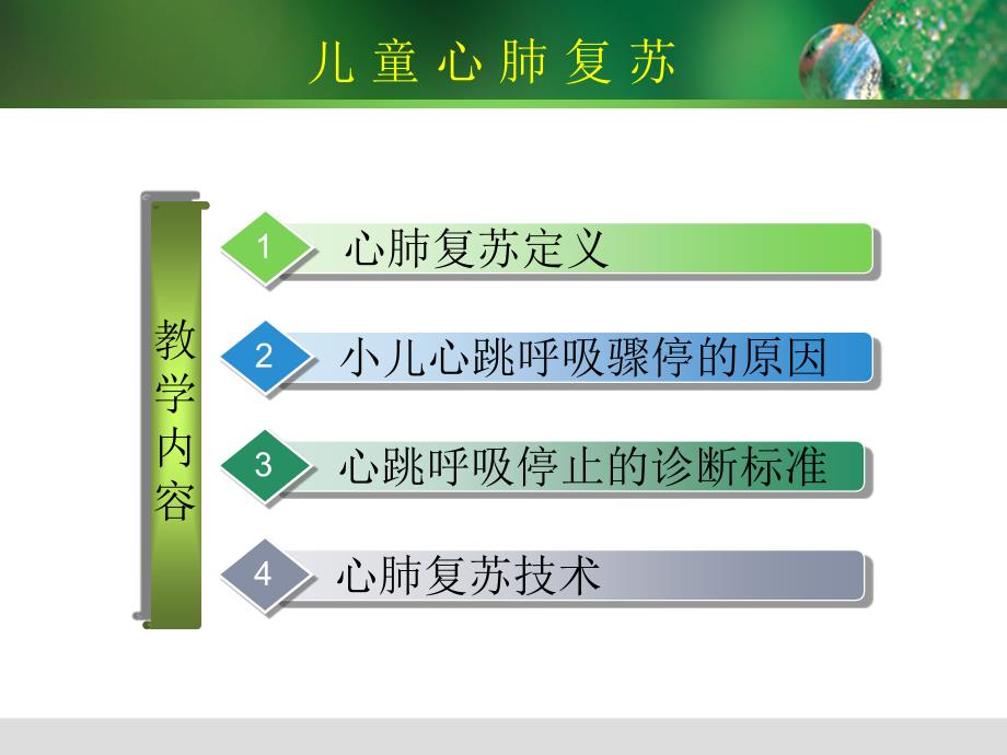 小儿心肺复苏PPT课件.ppt_第2页