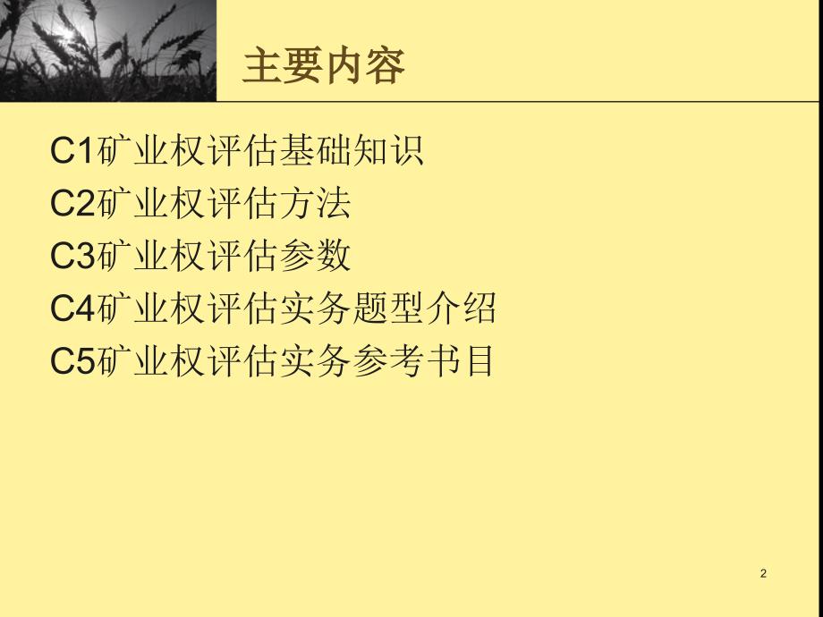 矿业权评估实务PPT课件.ppt_第2页