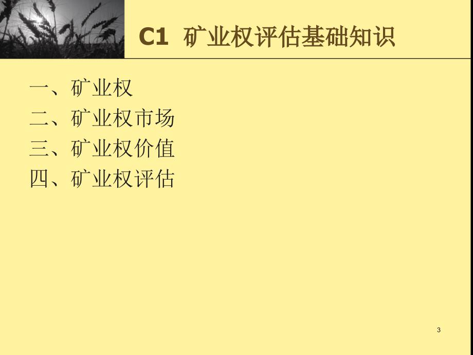 矿业权评估实务PPT课件.ppt_第3页