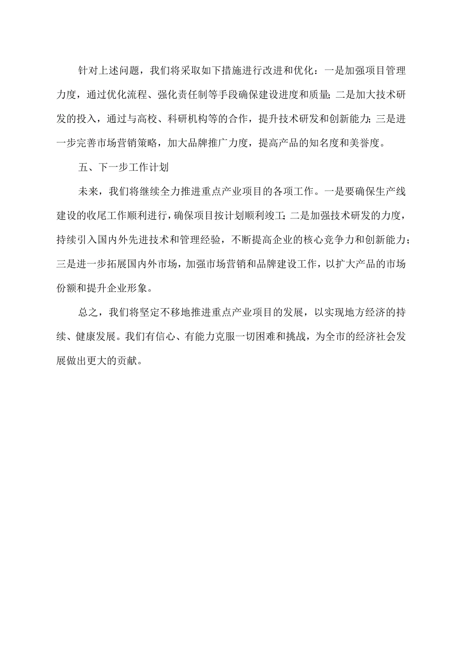重点产业项目汇报材料(1).docx_第2页