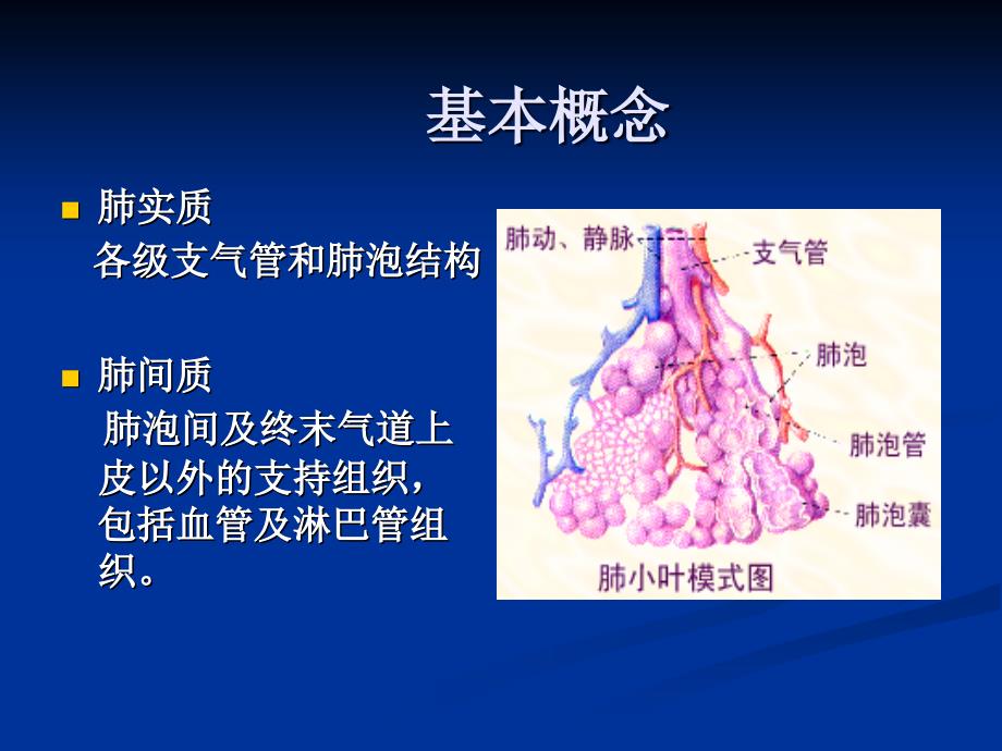 特发性肺纤维化PPT课件.ppt_第2页