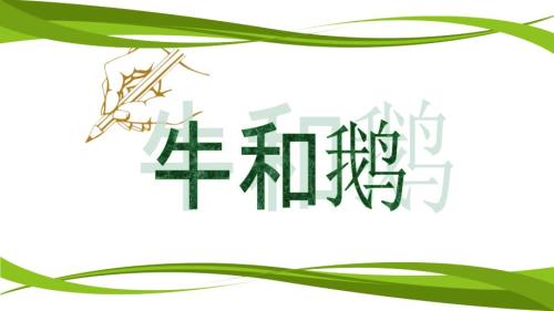 牛和鹅说课PPT.ppt