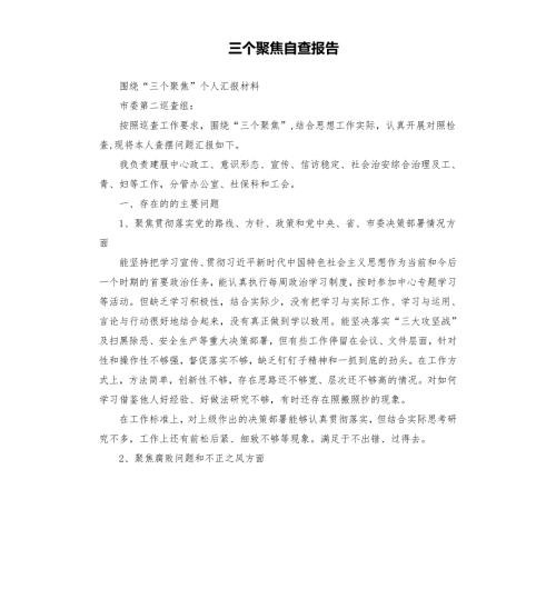 三个聚焦自查报告.docx