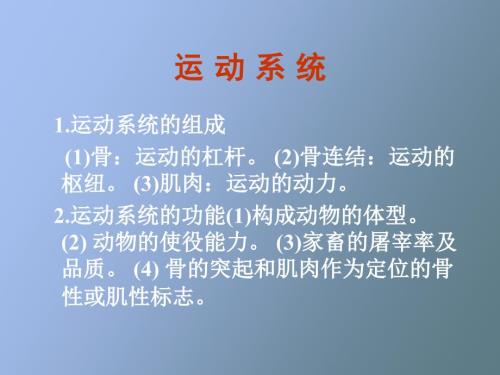 畜禽解剖学运动系统.ppt