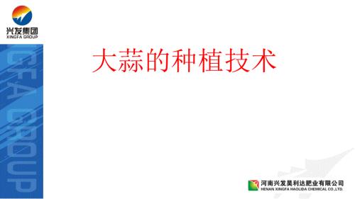 大蒜种植技术PPT课件.ppt