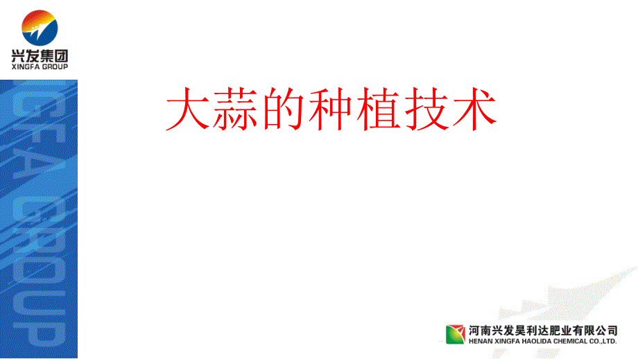 大蒜种植技术PPT课件.ppt_第1页