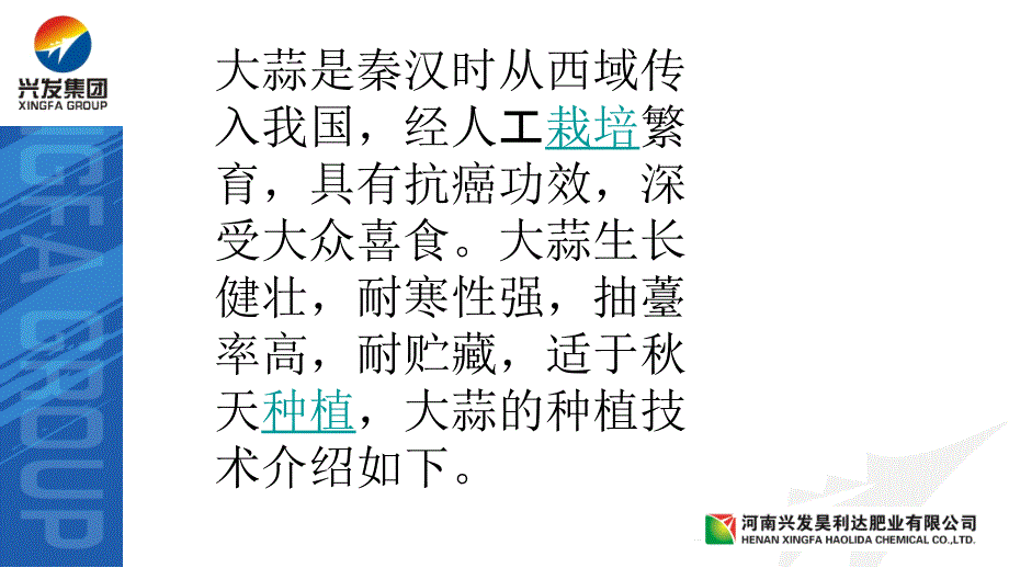 大蒜种植技术PPT课件.ppt_第2页