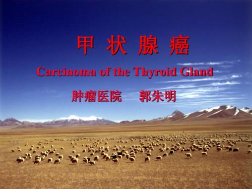 甲状腺癌课件.ppt
