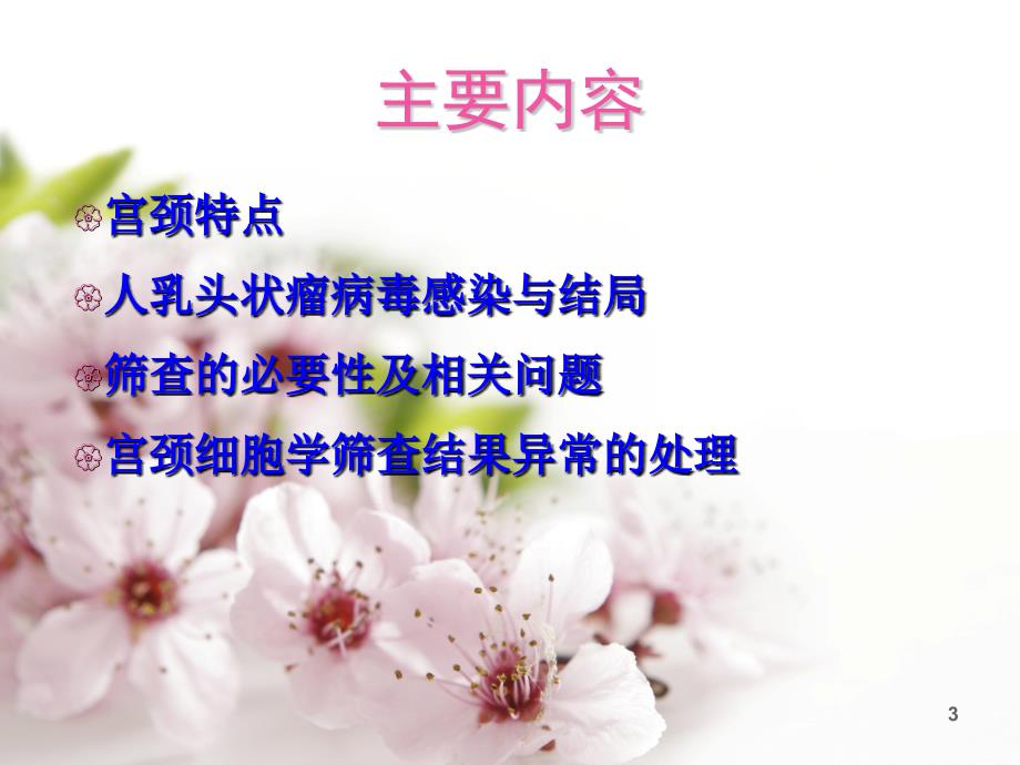 宫颈癌筛查及预防ppt课件.ppt_第3页