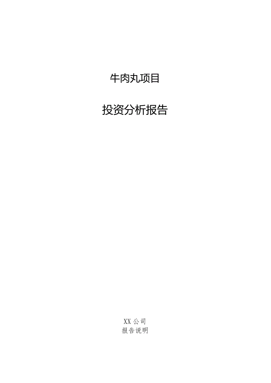 牛肉丸项目投资分析报告.docx_第1页