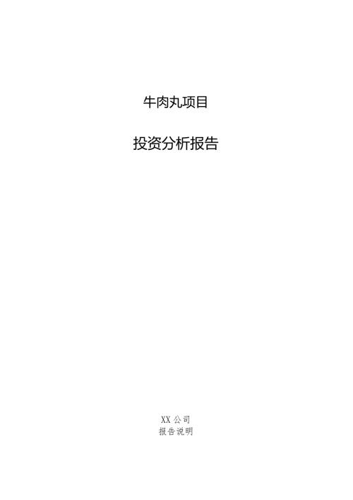 牛肉丸项目投资分析报告.docx