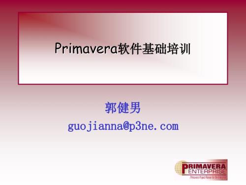 P6软件功能介绍内部版.ppt