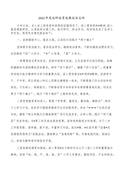 2023述职述责述廉述法总结.docx