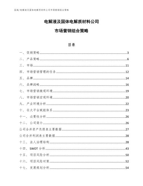 电解液及固体电解质材料公司市场营销组合策略范文.docx