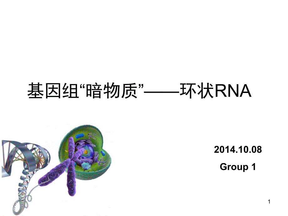 环状RNAPPT课件.ppt_第1页