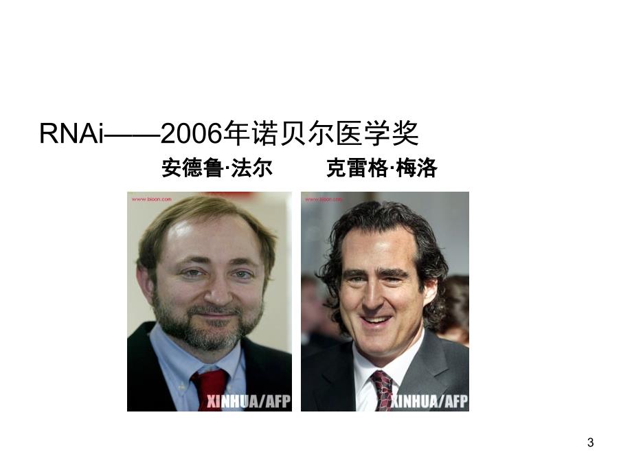 环状RNAPPT课件.ppt_第3页