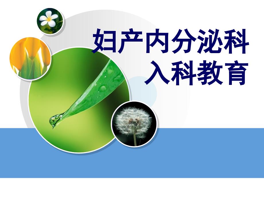 妇产科入科教育PPT课件.ppt_第1页