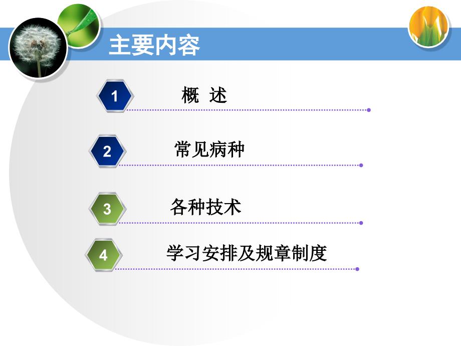妇产科入科教育PPT课件.ppt_第2页