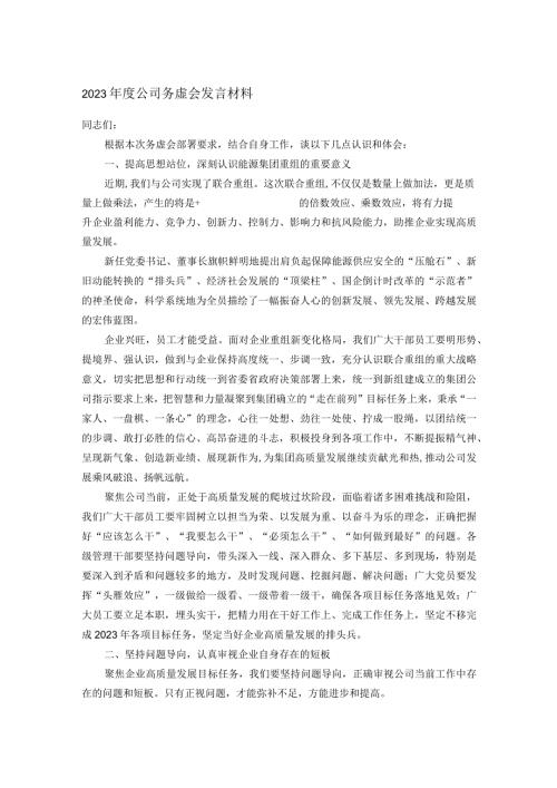 2023公司务虚会发言材料(1).docx
