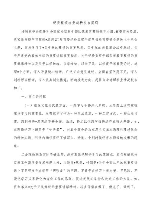 纪委整顿检查剖析发言提纲.docx