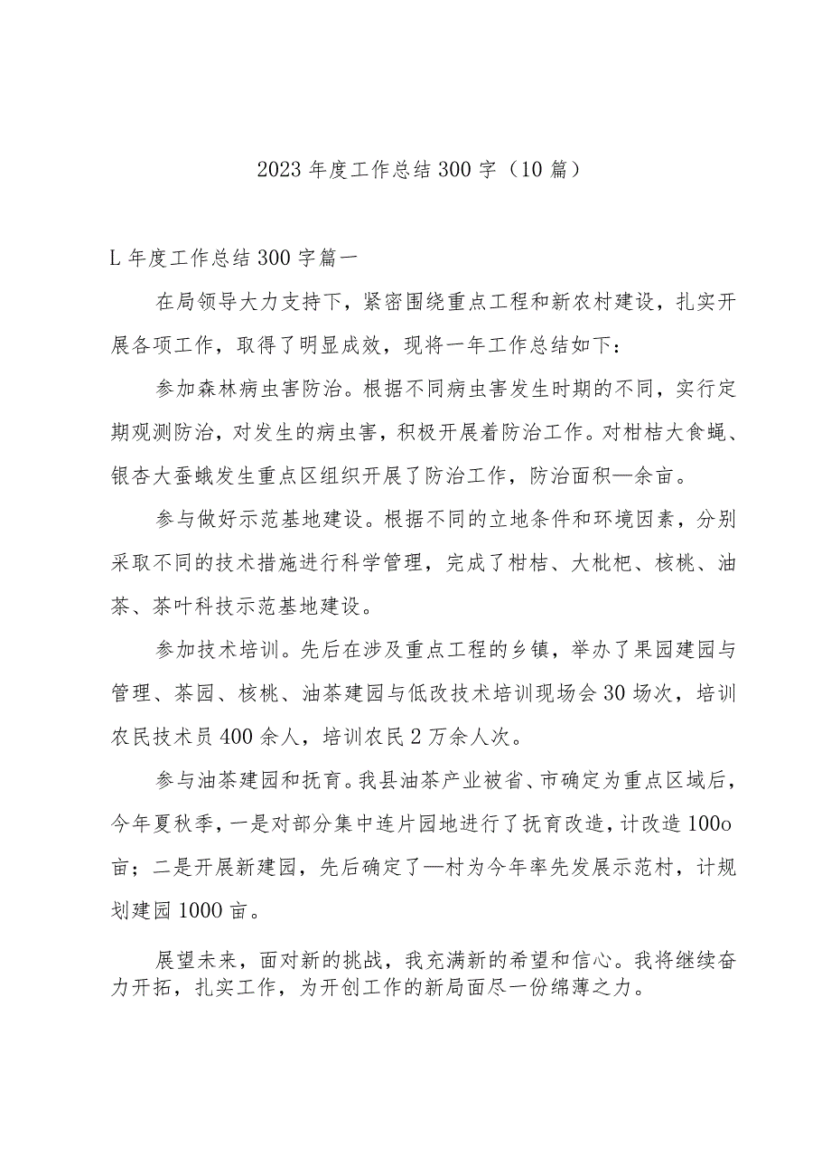 2023工作总结300字（10篇）.docx_第1页