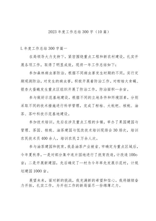 2023工作总结300字（10篇）.docx