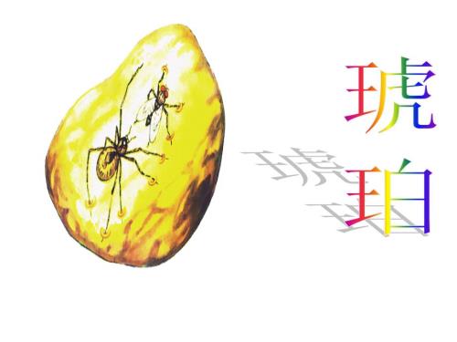 琥珀PPT课件.ppt