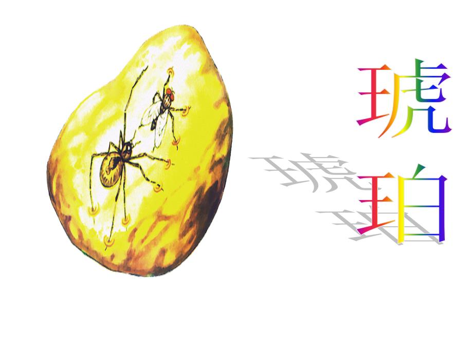 琥珀PPT课件.ppt_第1页