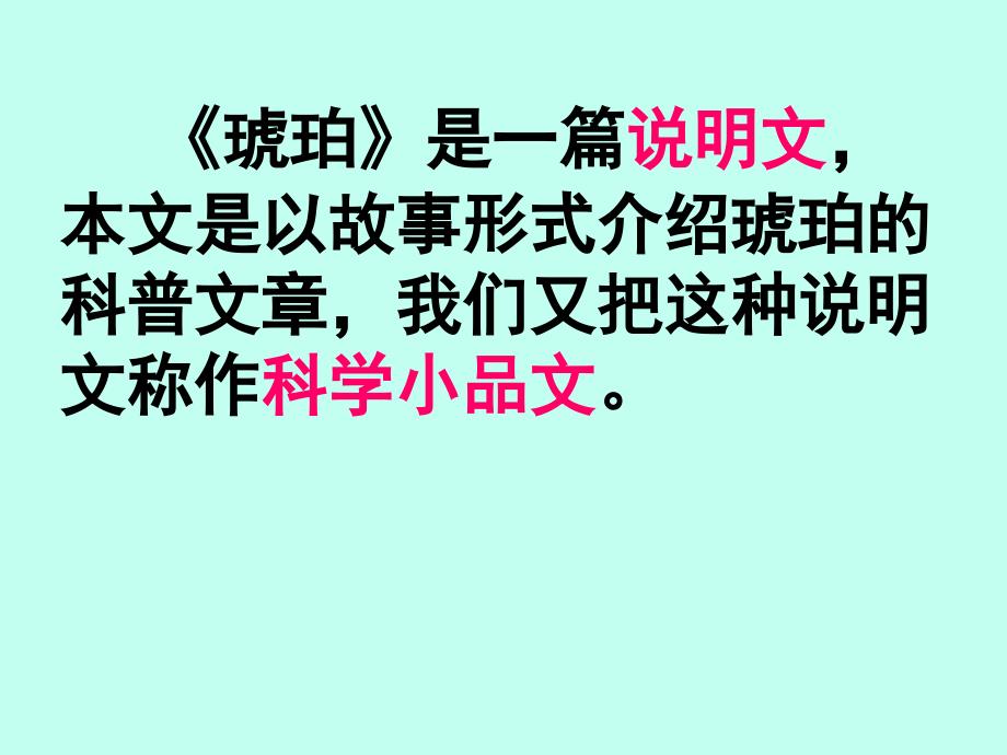 琥珀PPT课件.ppt_第2页
