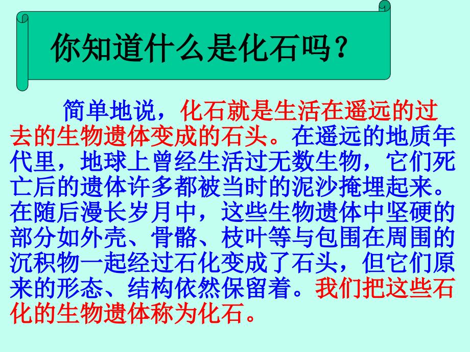 琥珀PPT课件.ppt_第3页