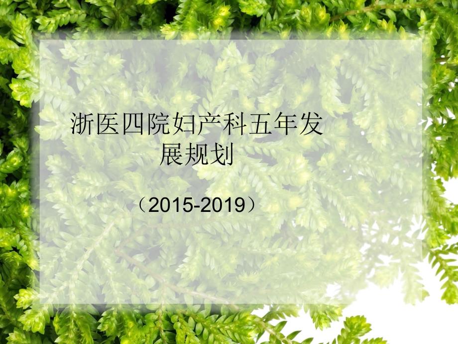 妇产科发展规划PPT课件01.ppt_第1页