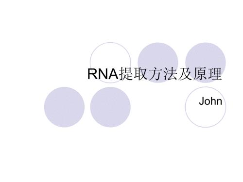 RNA提取方法及原理.ppt