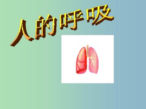 七年级生物下册3人体的呼吸课件新人教版.ppt