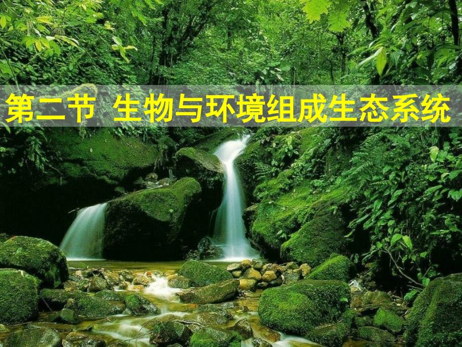 生物与环境组成生态系统.ppt_第1页