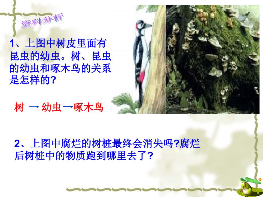 生物与环境组成生态系统.ppt_第3页
