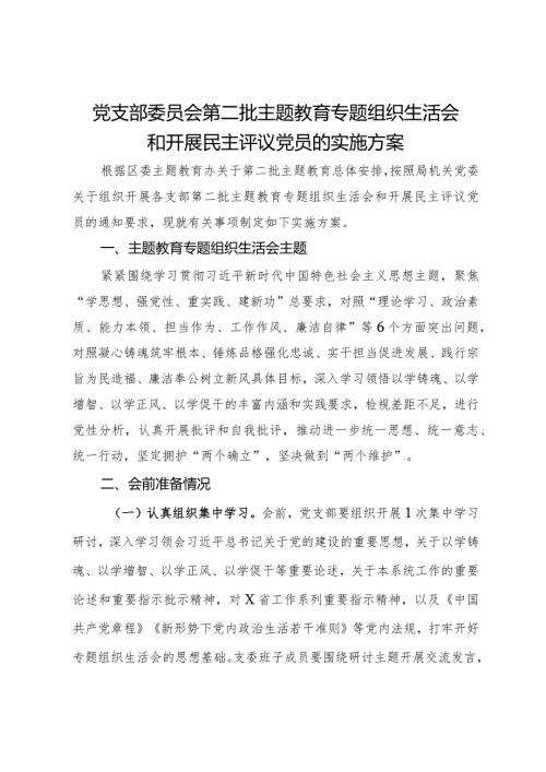 党支部委员会第二批主题教育专题组织生活会和开展民主评议党员的实施方案.docx