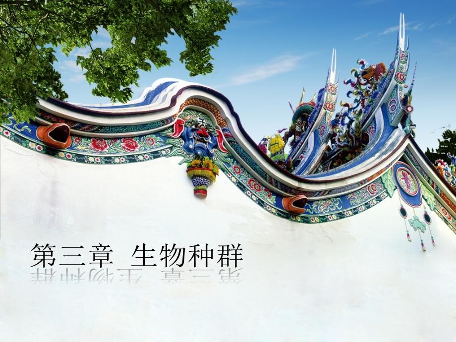 生物种群PPT课件.ppt_第1页