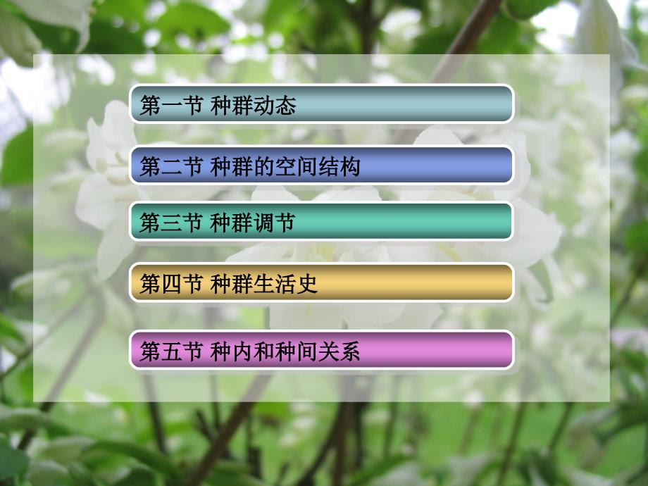 生物种群PPT课件.ppt_第2页