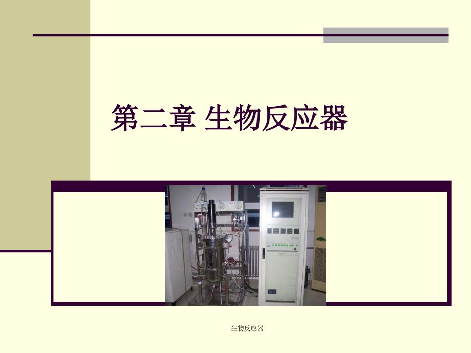 生物反应器课件.ppt_第1页