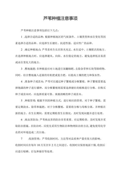 芦苇种植注意事项.docx