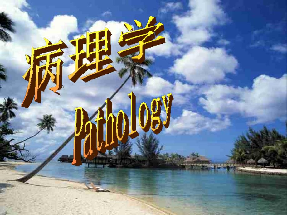 病理学局部血液循环障碍课件.ppt_第1页
