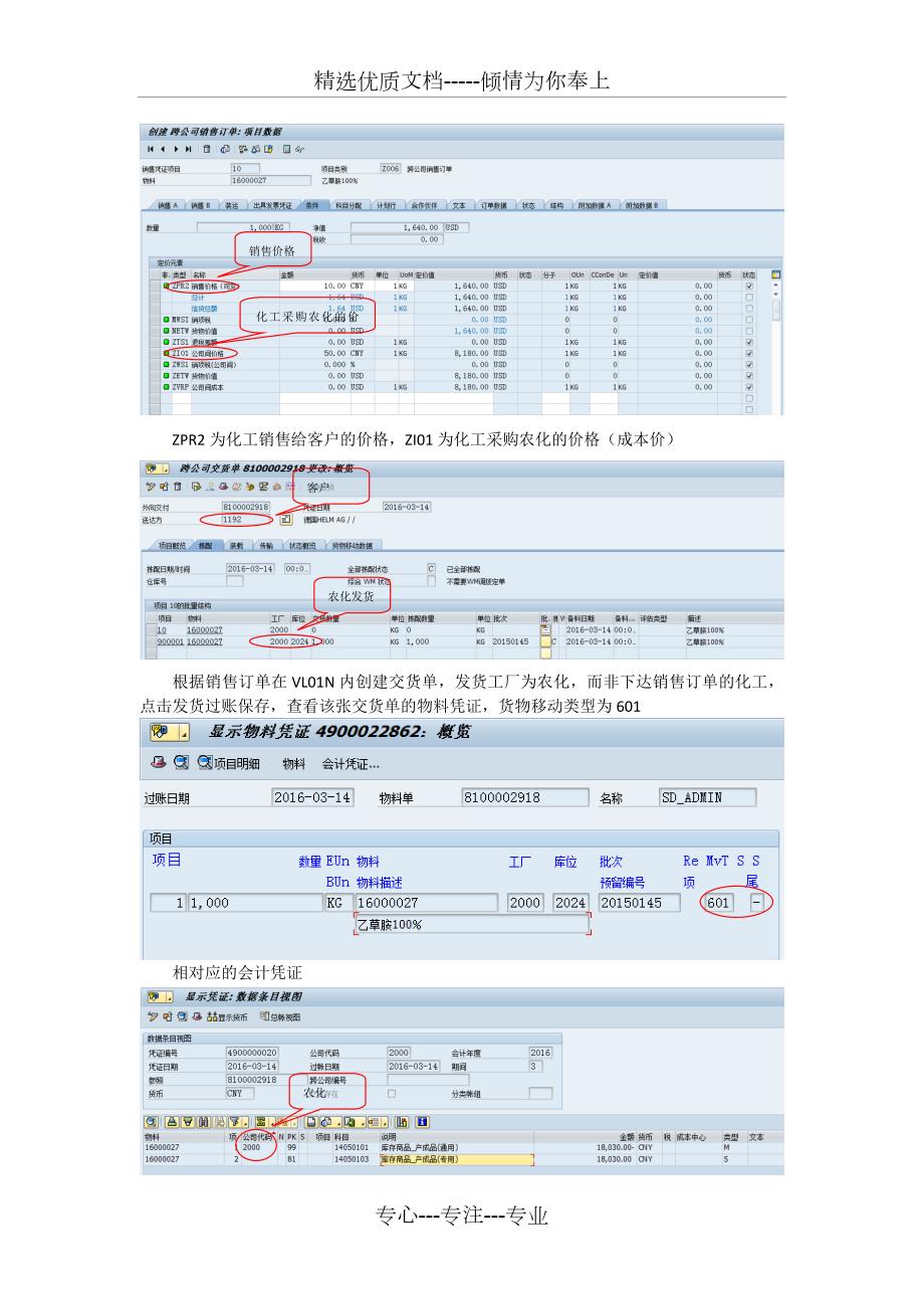 SAP跨公司销售业务流程及后台配置文档共25页.docx_第2页