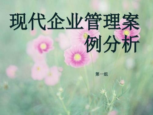 现代企业管理案例分析.ppt