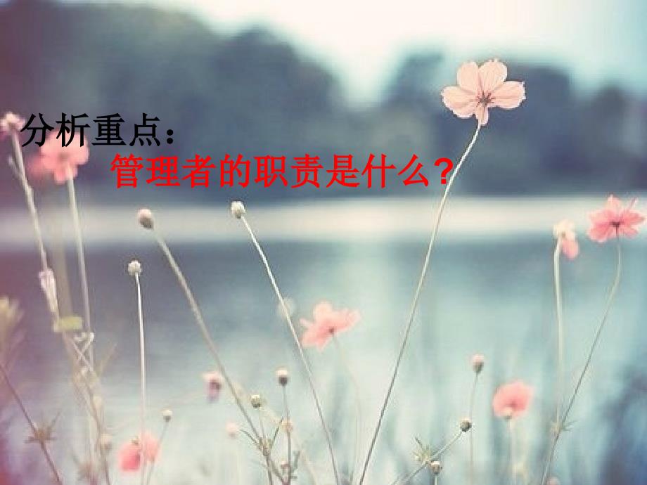 现代企业管理案例分析.ppt_第3页