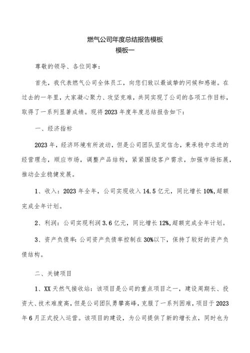 燃气公司总结报告模板.docx