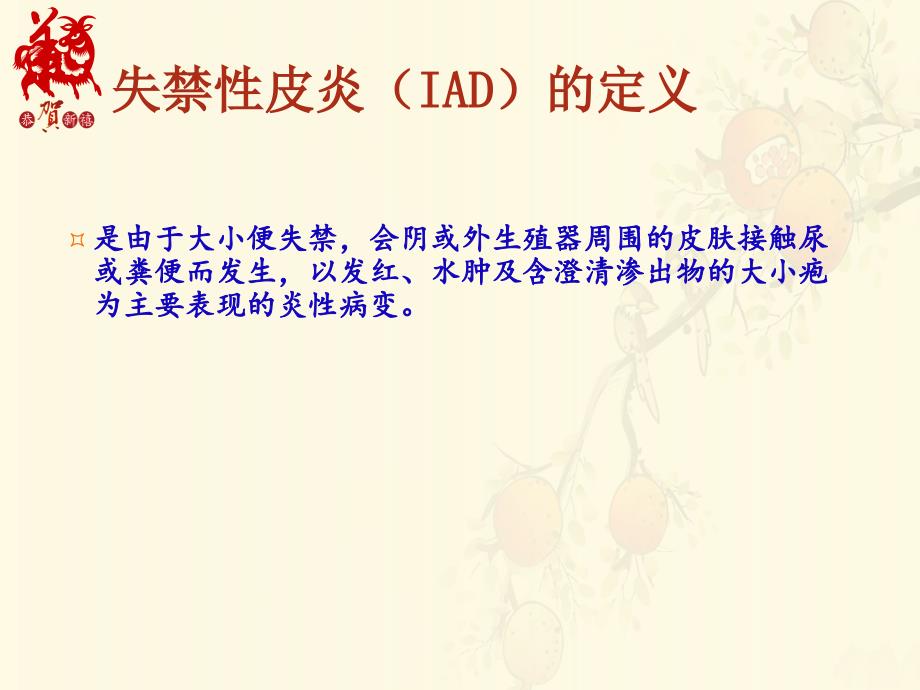 失禁性皮炎护理新进展副本.ppt_第2页