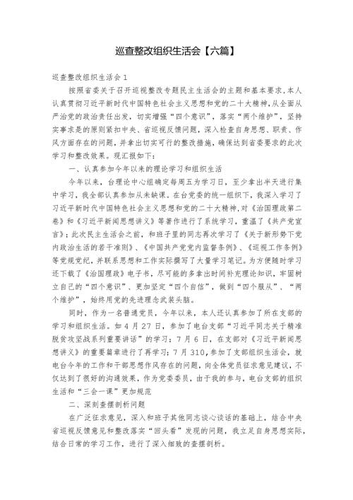 巡查整改组织生活会【六篇】.docx